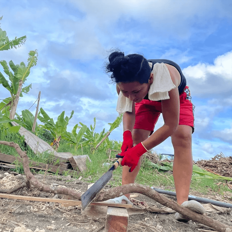 自然と共にある暮らし