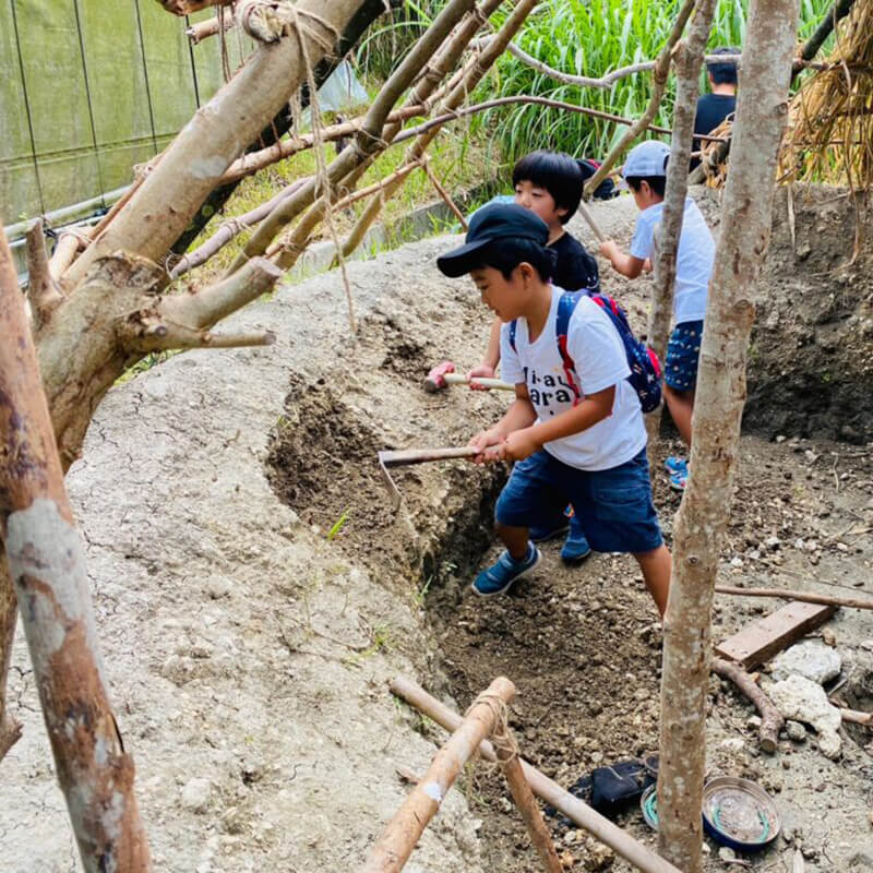 多彩な体験学習