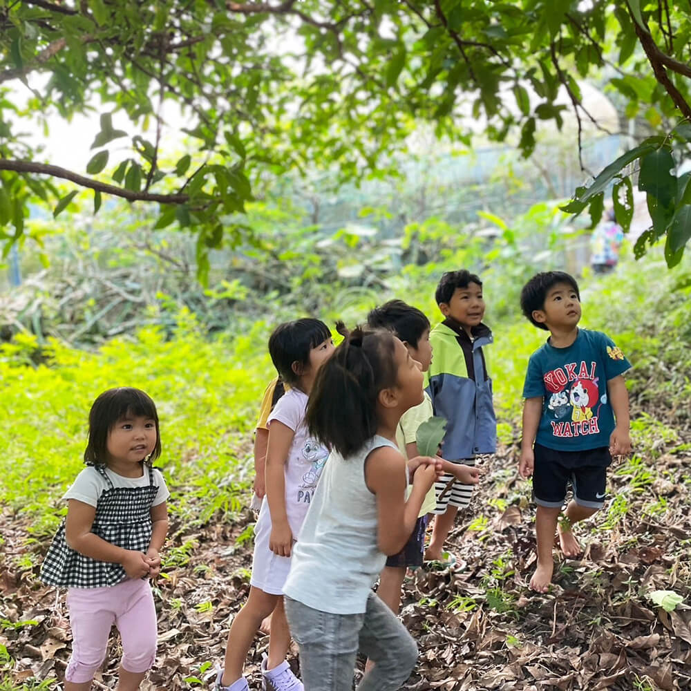 おなかの中から保育園