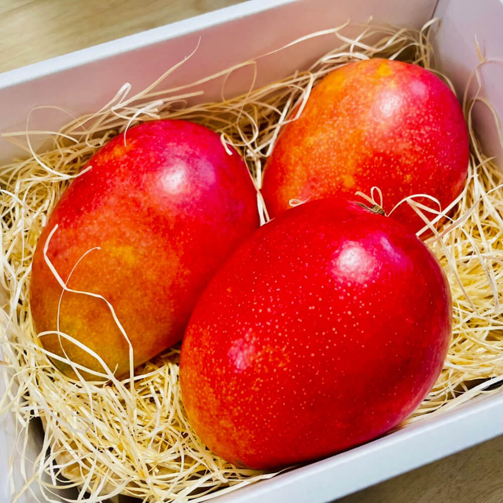 ヨミガエラセ屋